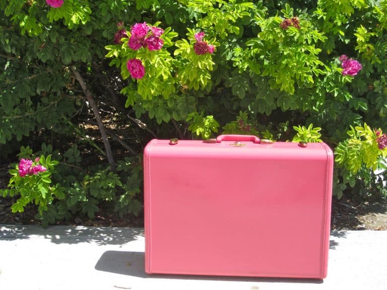 Vintage Suitcase Painted Pink