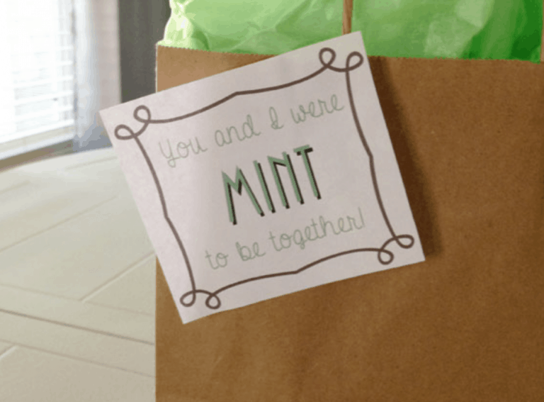 Mint Themed Gift Ideas with Free Printable Tags!