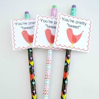 free printable valentine - your pretty tweet - bird - pencil topper