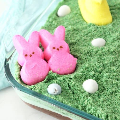 Fun And Easy Easter Dirt Cake