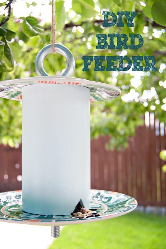 diy bird feeder