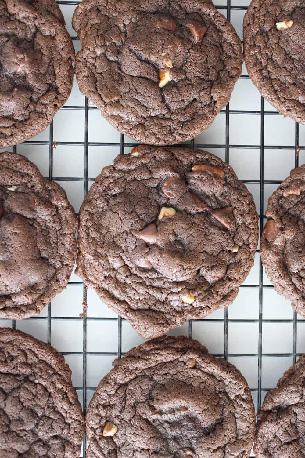double chocolate cookies cooking on a cookie rack fresh from the oven