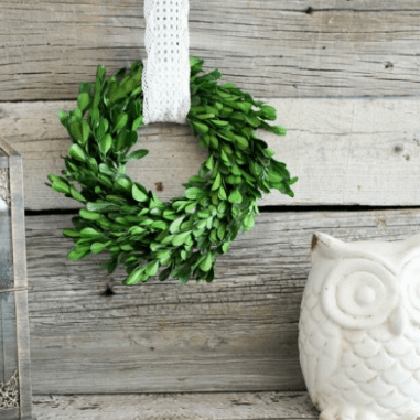 Mini Boxwood Wreath Tutorial