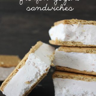 These skinny frozen yogurt sandwiches are the perfect way to cool down for those of us trying to be healthy!