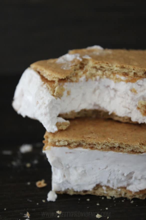 These skinny frozen yogurt sandwiches are the perfect way to cool down for those of us trying to be healthy!