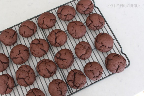 Soft chocolate cookies filled with marshmallow cream-cheese frosting, rolled in crushed golden grahams! Recipe at prettyprovidence.com