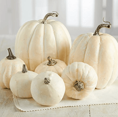 Craft Pumpkins