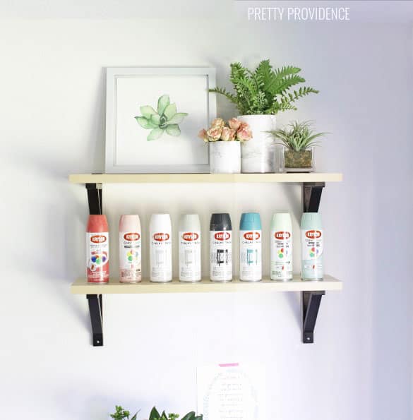 Love this craft room storage idea! Spray paint organization at it's finest.