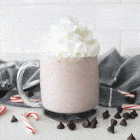 peppermint shake topped with whipped cream surrounded by chocolate chips and candy canes