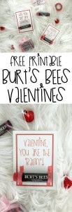 Free Printable Burt's Bees Valentines - Pretty Providence