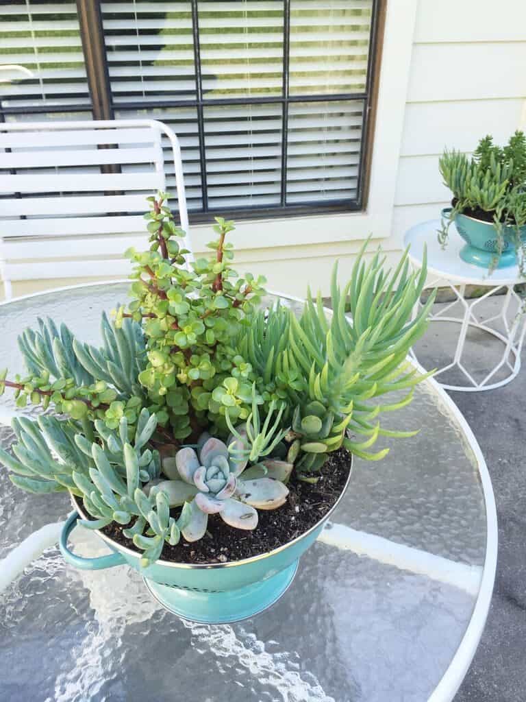 Easy DIY Colander Planters! 