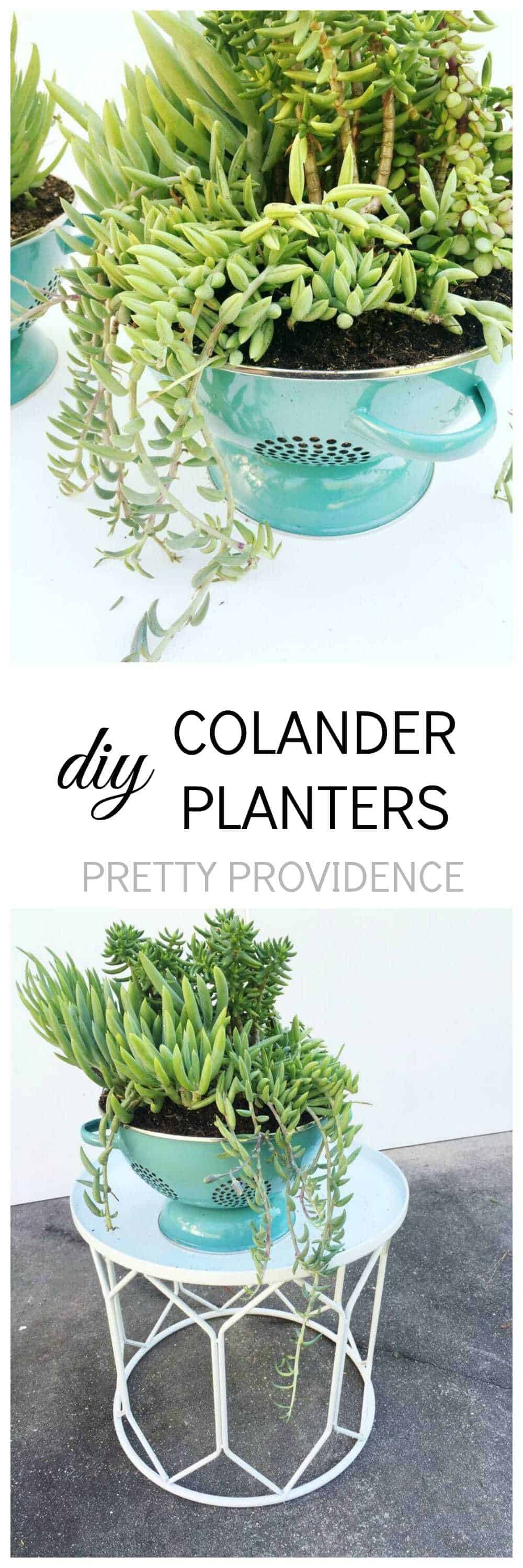 colander-planters-pin