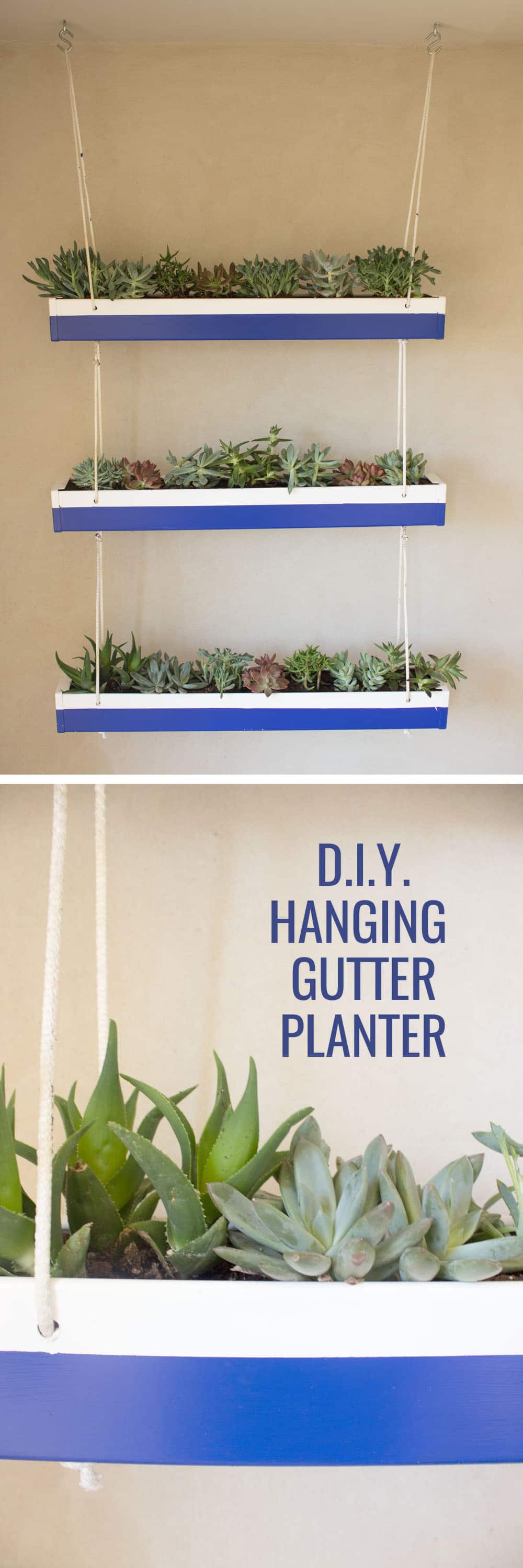 Okay seriously? How adorable is this DIY hanging gutter planter??! So cheap to make, too! Can't wait to try it out. 