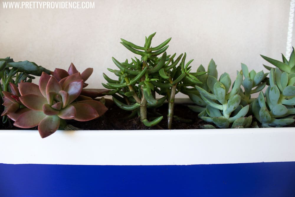 Okay seriously? How adorable is this DIY hanging gutter planter??! So cheap to make, too! Can't wait to try it out. 