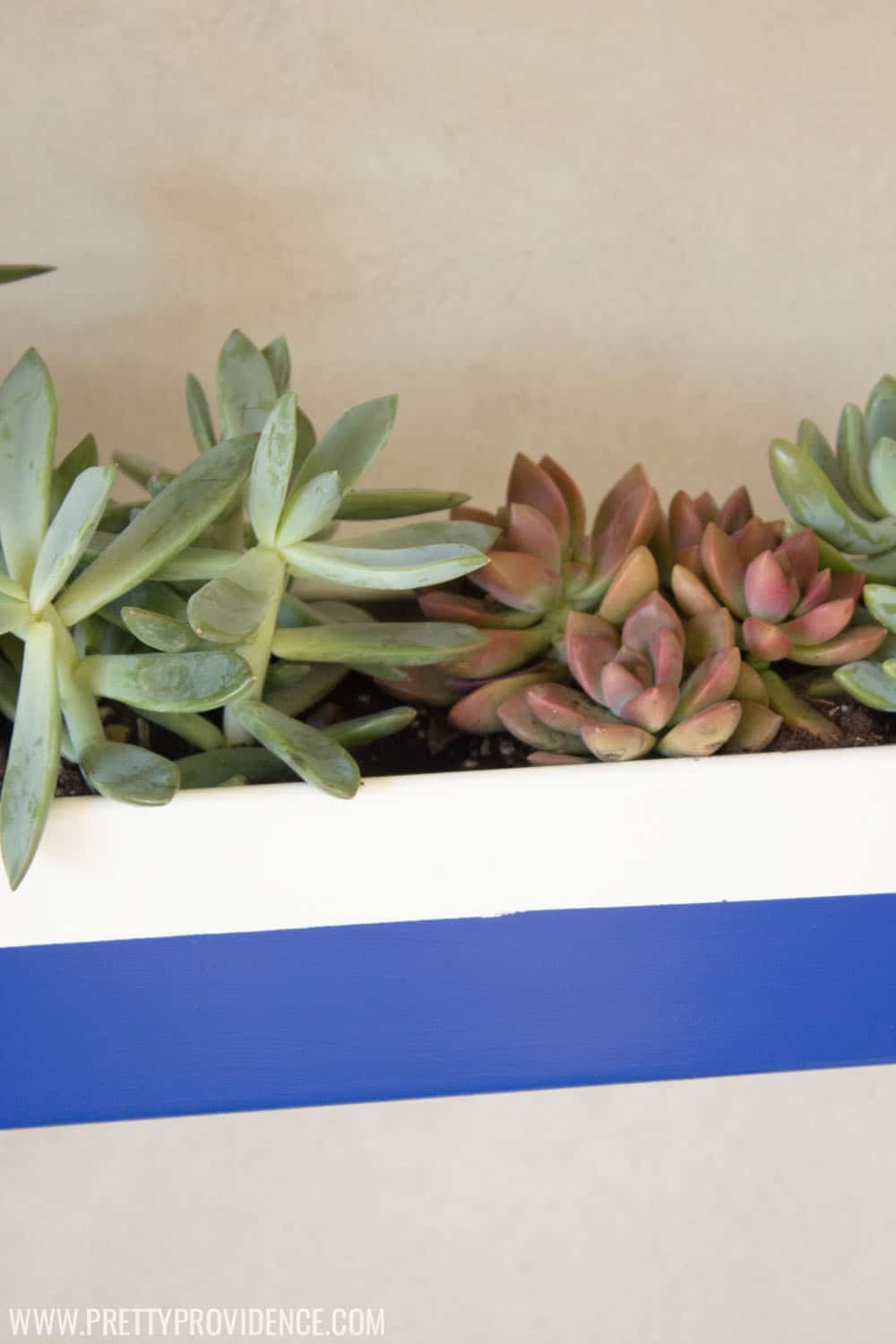 Okay seriously? How adorable is this DIY hanging gutter planter??! So cheap to make, too! Can't wait to try it out. 