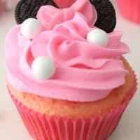 cupcakes minnie safari