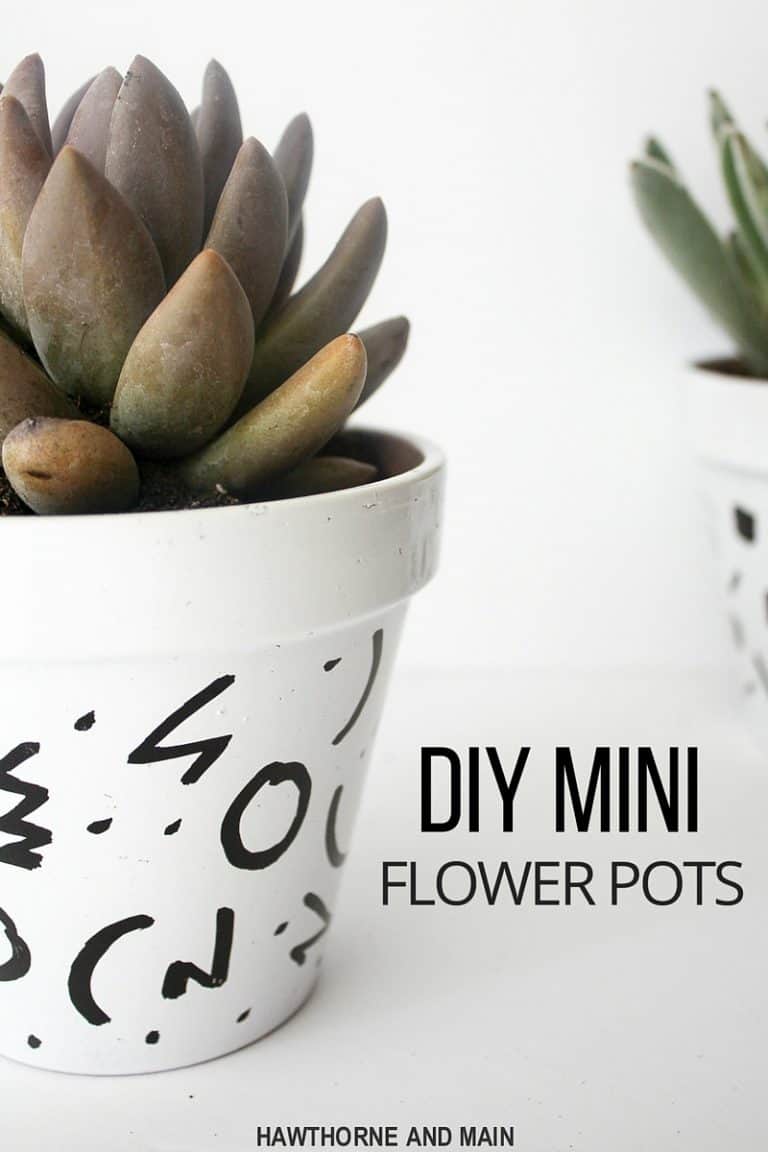 DIY Mini Flower Pots Hawthorne and Main