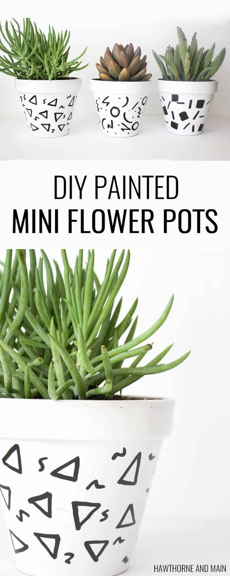 DIY Mini Flower Pots