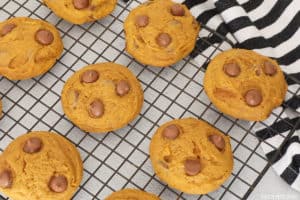 Super yummy classic pumpkin chocolate chip cookies! Super easy to whip together and feeds a crowd, the perfect recipe for fall!