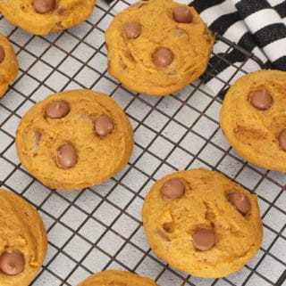 Super yummy classic pumpkin chocolate chip cookies! Super easy to whip together and feeds a crowd, the perfect recipe for fall!