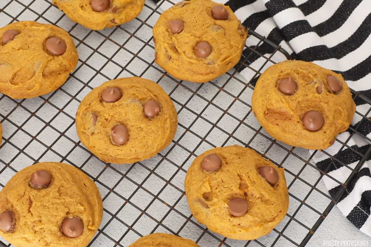 Super yummy classic pumpkin chocolate chip cookies! Super easy to whip together and feeds a crowd, the perfect recipe for fall! 