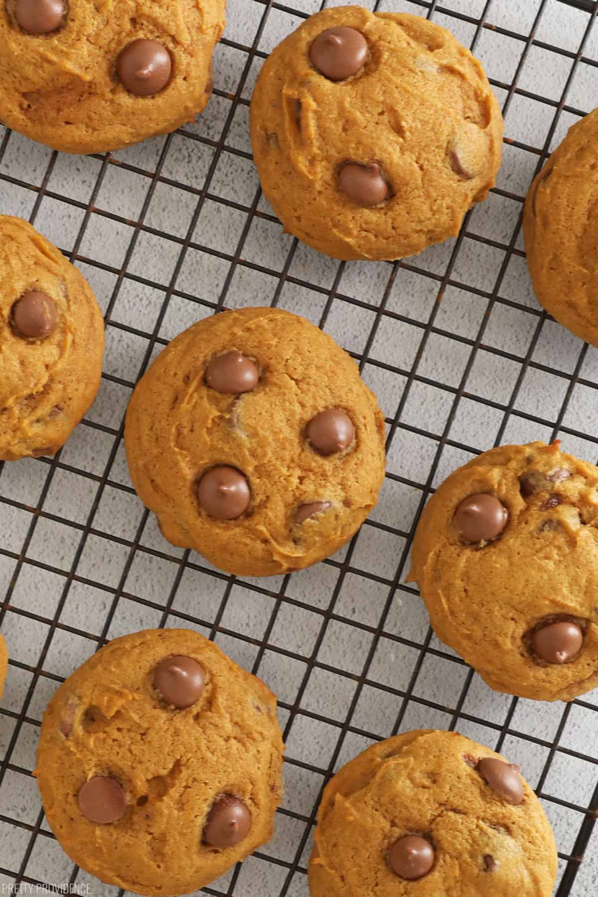 Super yummy classic pumpkin chocolate chip cookies! Super easy to whip together and feeds a crowd, the perfect recipe for fall! 