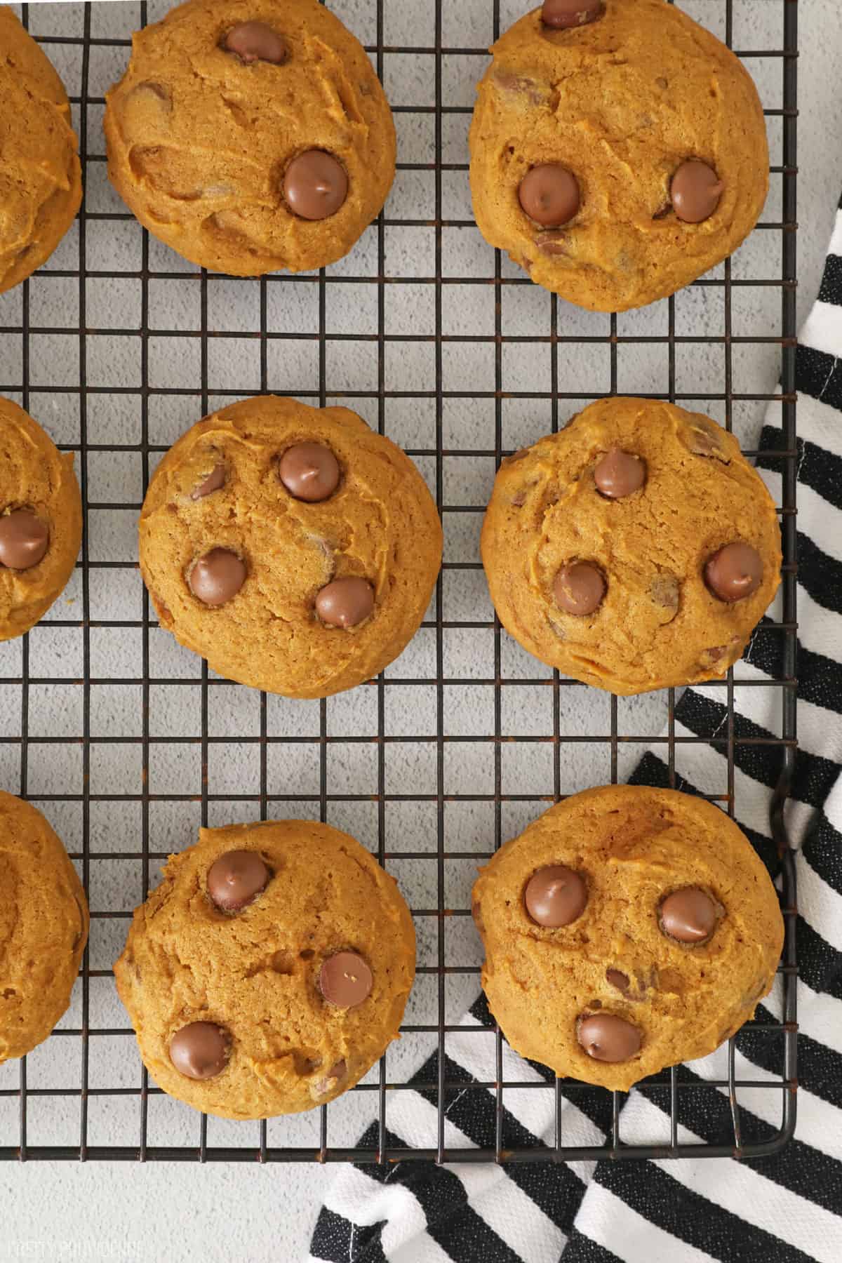 Chocolate chip pumpkin cookies on a cooling rack with a white and black striped towel underneath it.