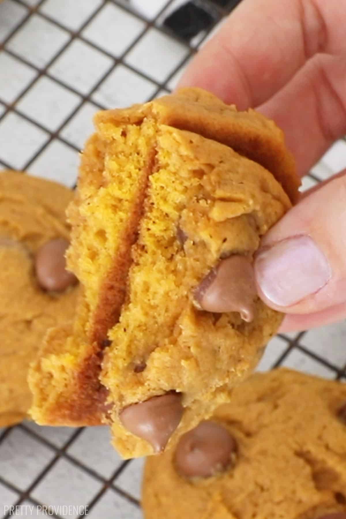 Super yummy classic pumpkin chocolate chip cookies! Super easy to whip together and feeds a crowd, the perfect recipe for fall!