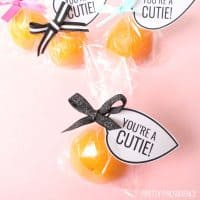 You're a Cutie Valentine printable leaf tag tied onto a small mandarin orange in a clear bag.