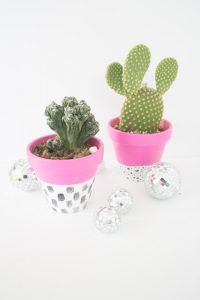 Easy Modern Indoor Planters for Succulents, Cacti and House Plants