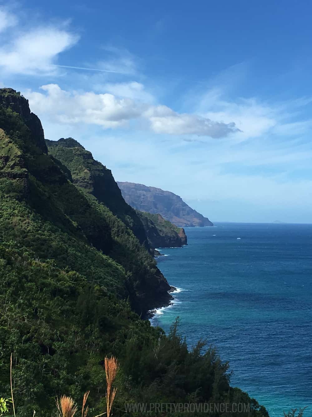 Must do when you go to Kauai! From what to do for fun, to where to eat, to where all the must have treats are! 