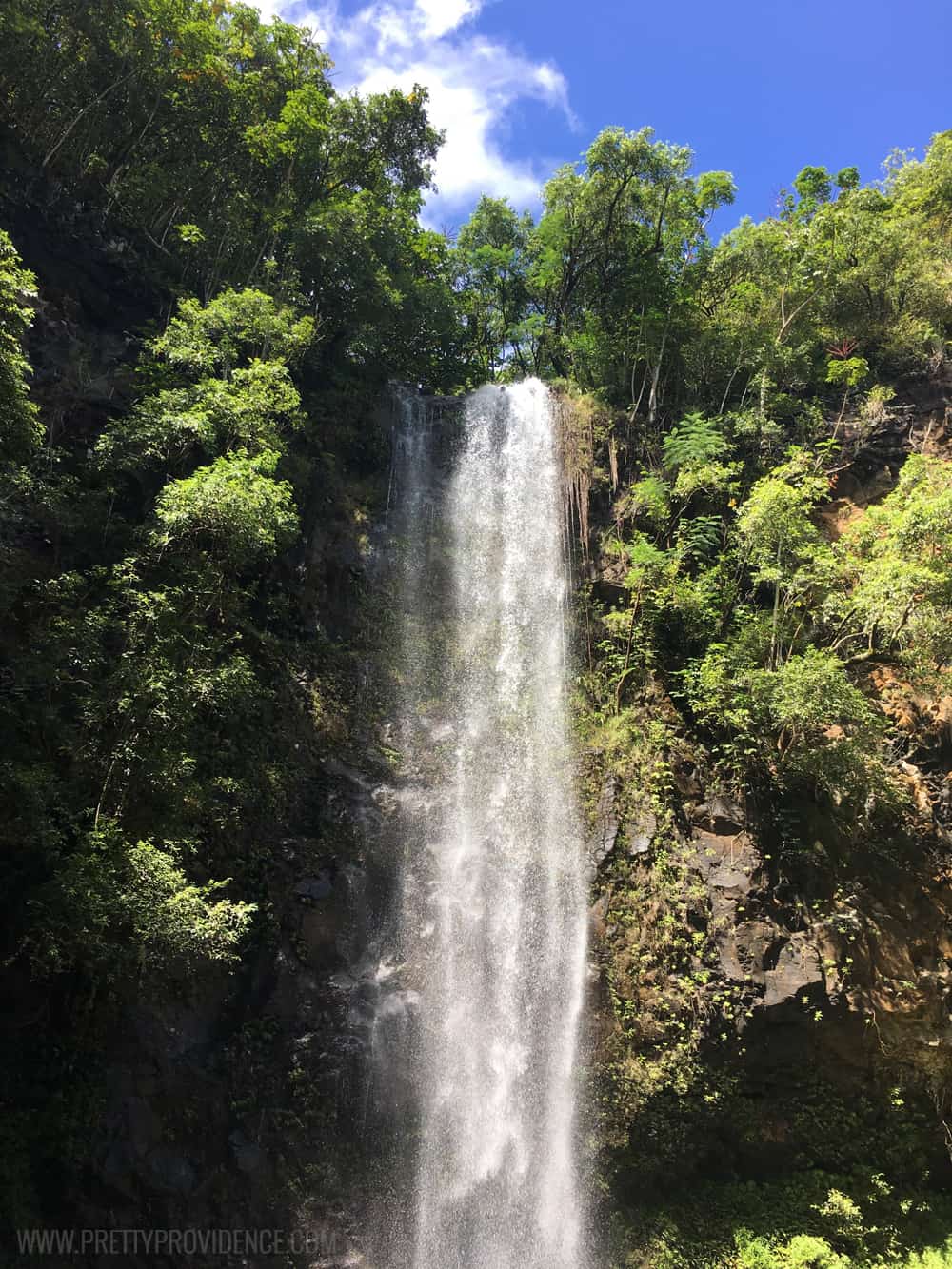 Must do when you go to Kauai! From what to do for fun, to where to eat, to where all the must have treats are! 