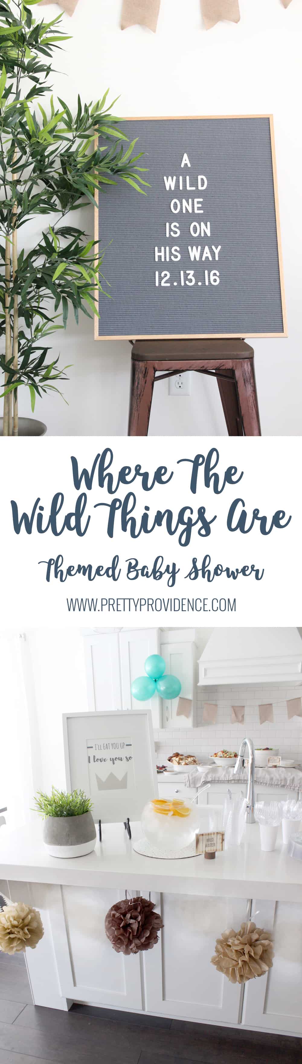 Where the Wild Things Are Woodland Theme Baby Shower