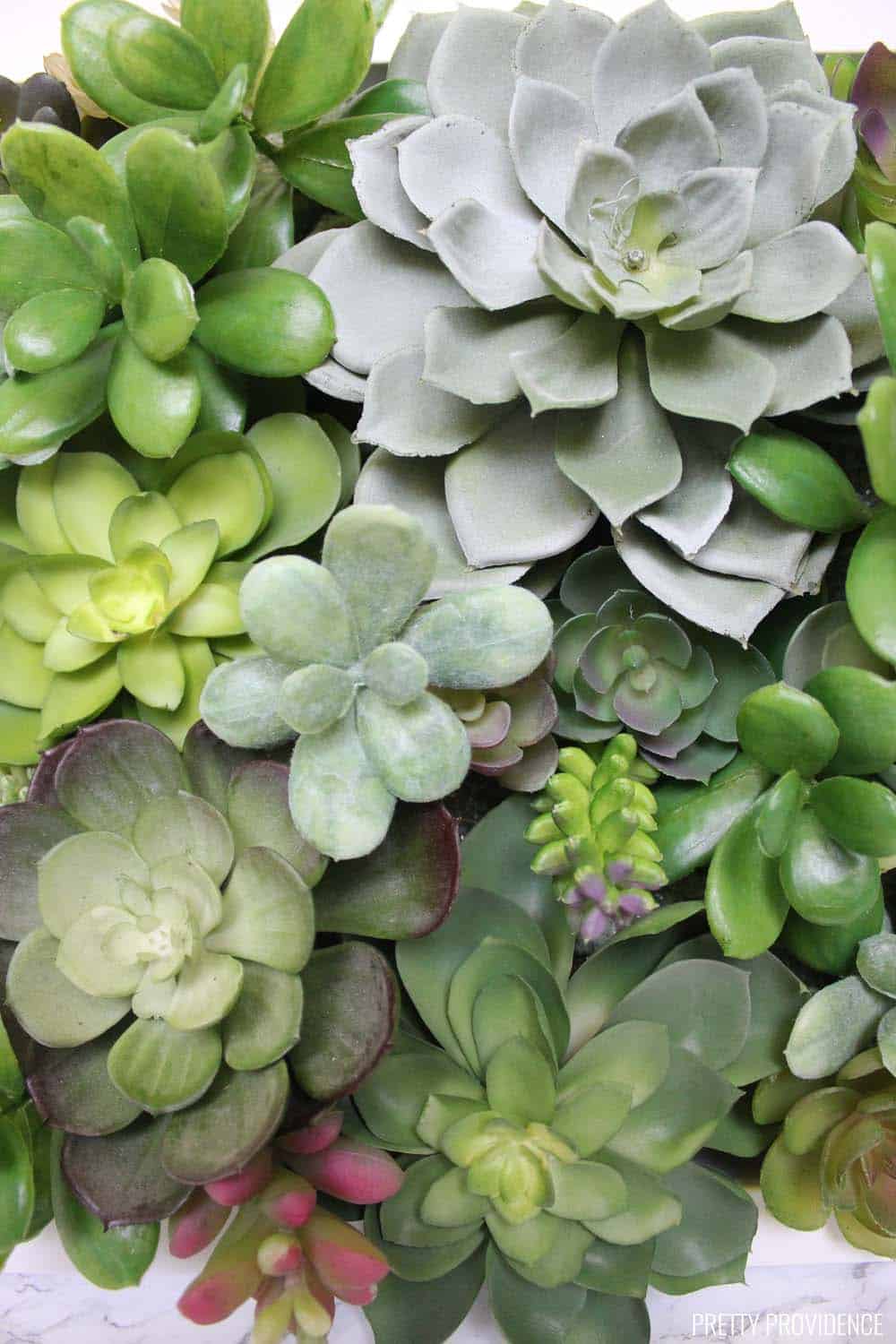 I love decorating with succulents and this easy succulent shadow box decor is perfect! So pretty!