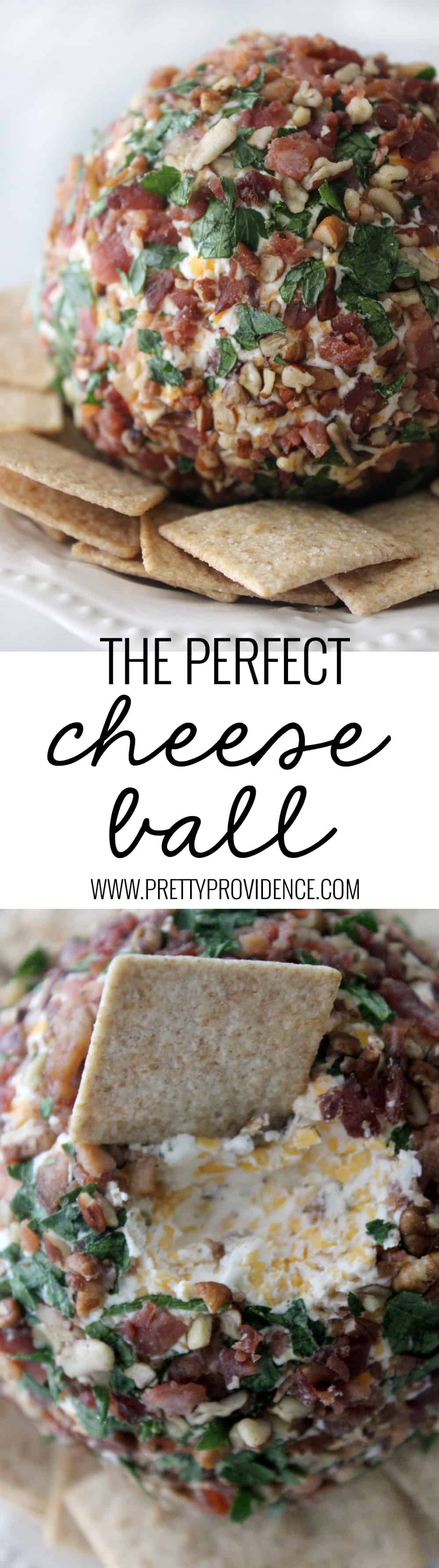 Not only is this cheese ball freaking delicious but it is also beautiful and easy to make! The perfect appetizer to bring to any get together! 