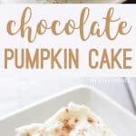 two images of chocolate pumpkin cake in a collage for pinterest
