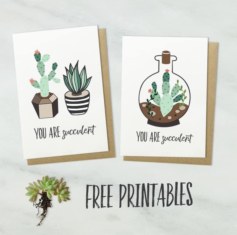 Free Printable Valentine Cards - Succulents