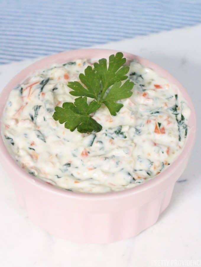 Healthy Veggie Dip