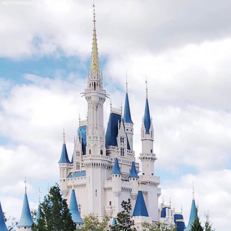 All About Disney SMMC