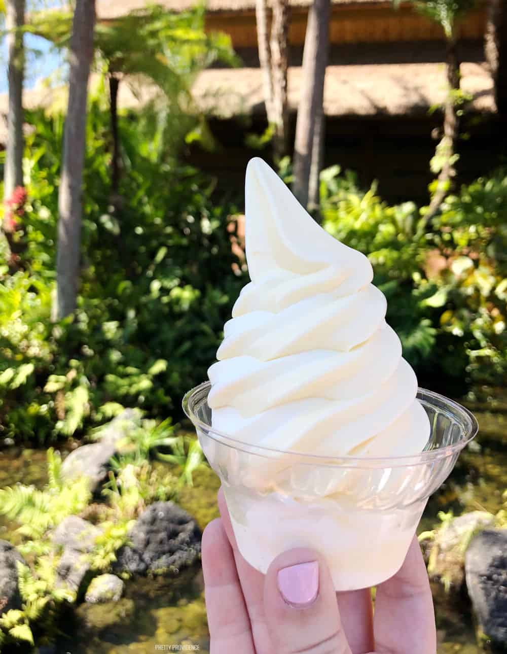 Dole Whip at Magic Kingdom Disney World!