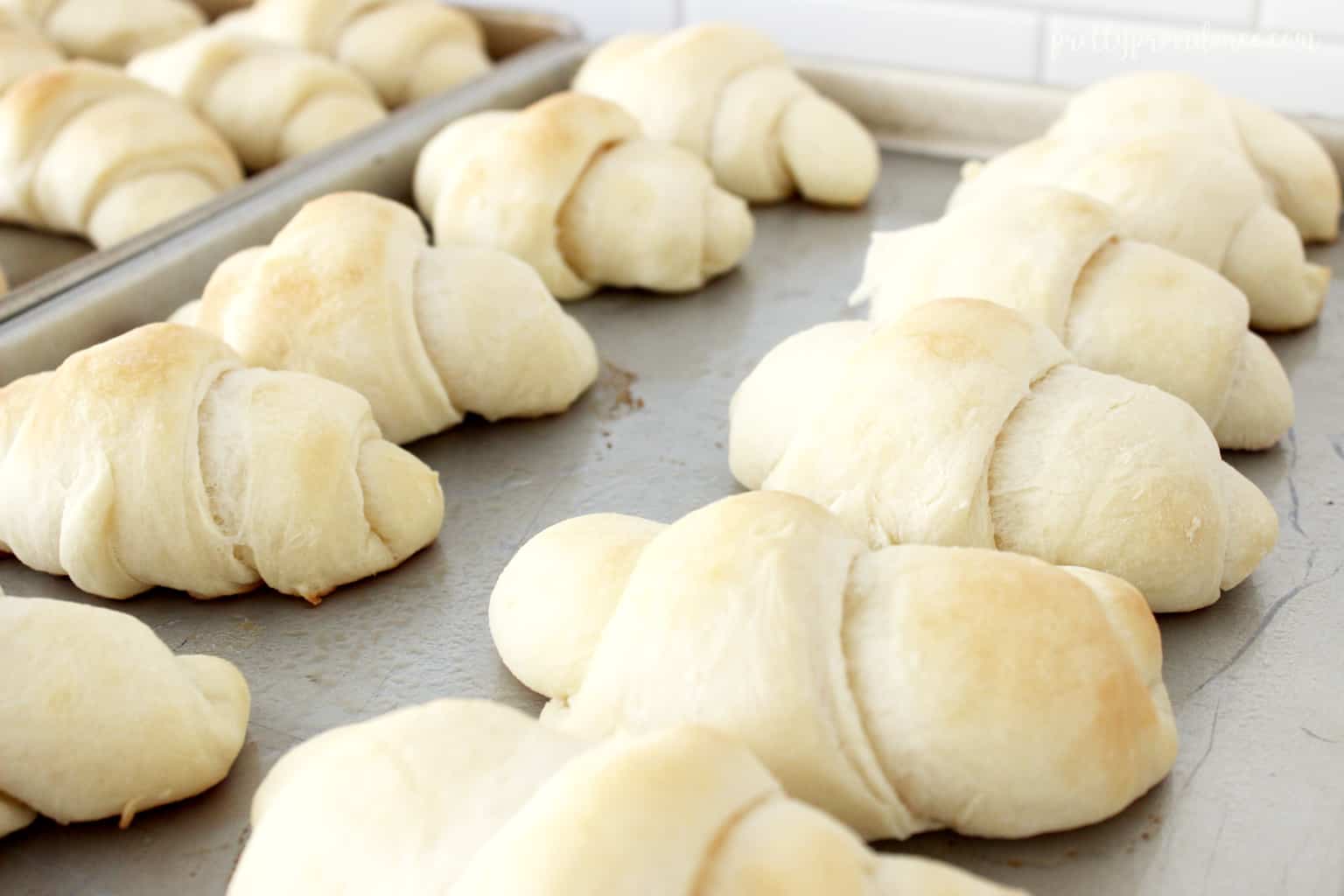 homemade rolls lining a sheet pan right out of the oven