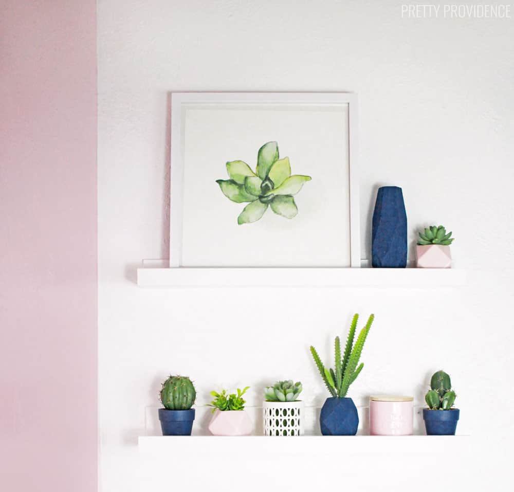 Bathroom shelves decorated with cacti and succulents!