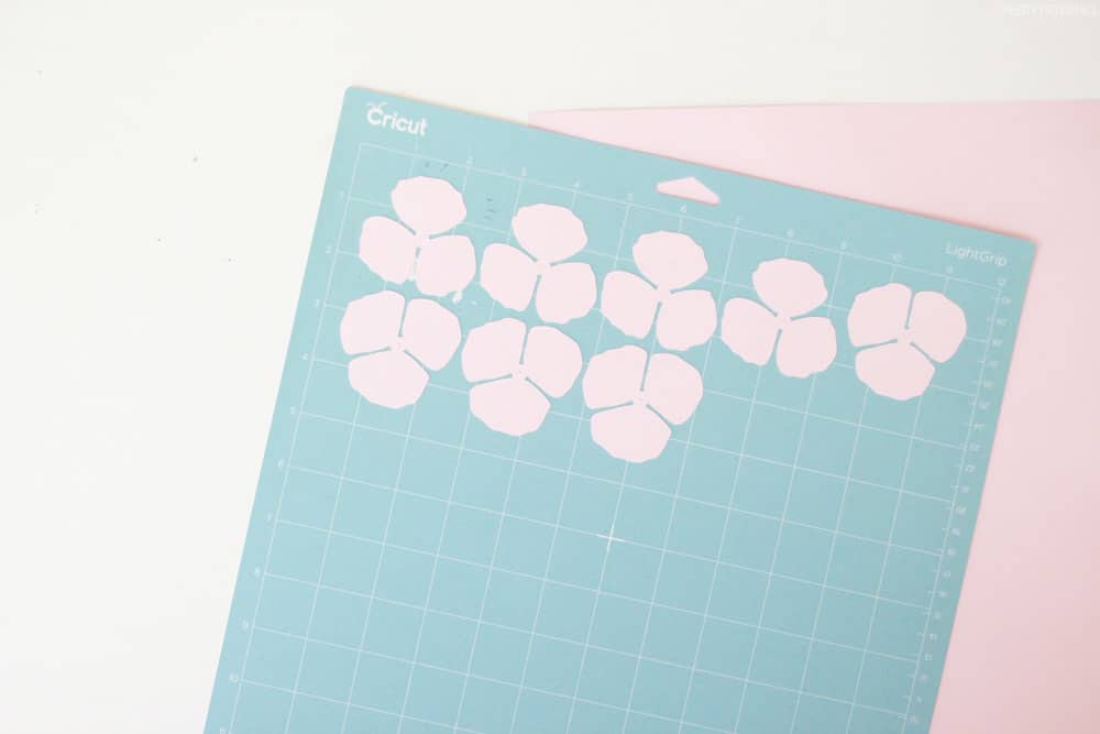 Paper Flowers on Cricut