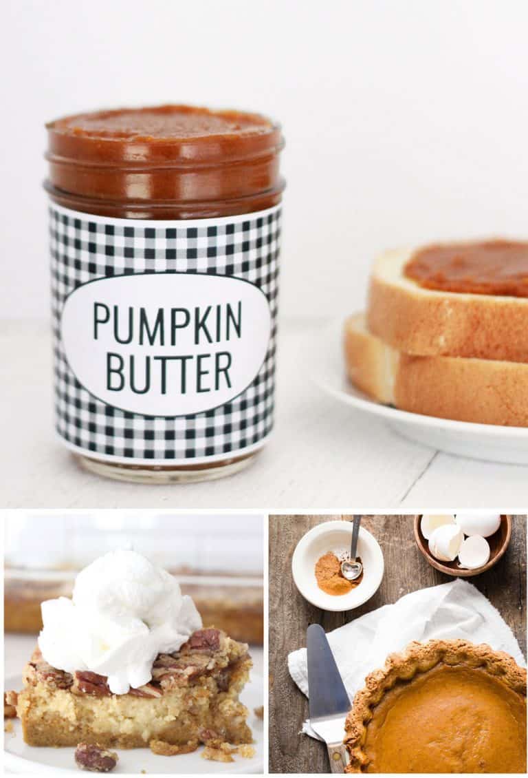 All the best pumpkin recipes! Pumpkin cookies, pumpkin cake, pumpkin pie, and savory pumpkin recipes too!