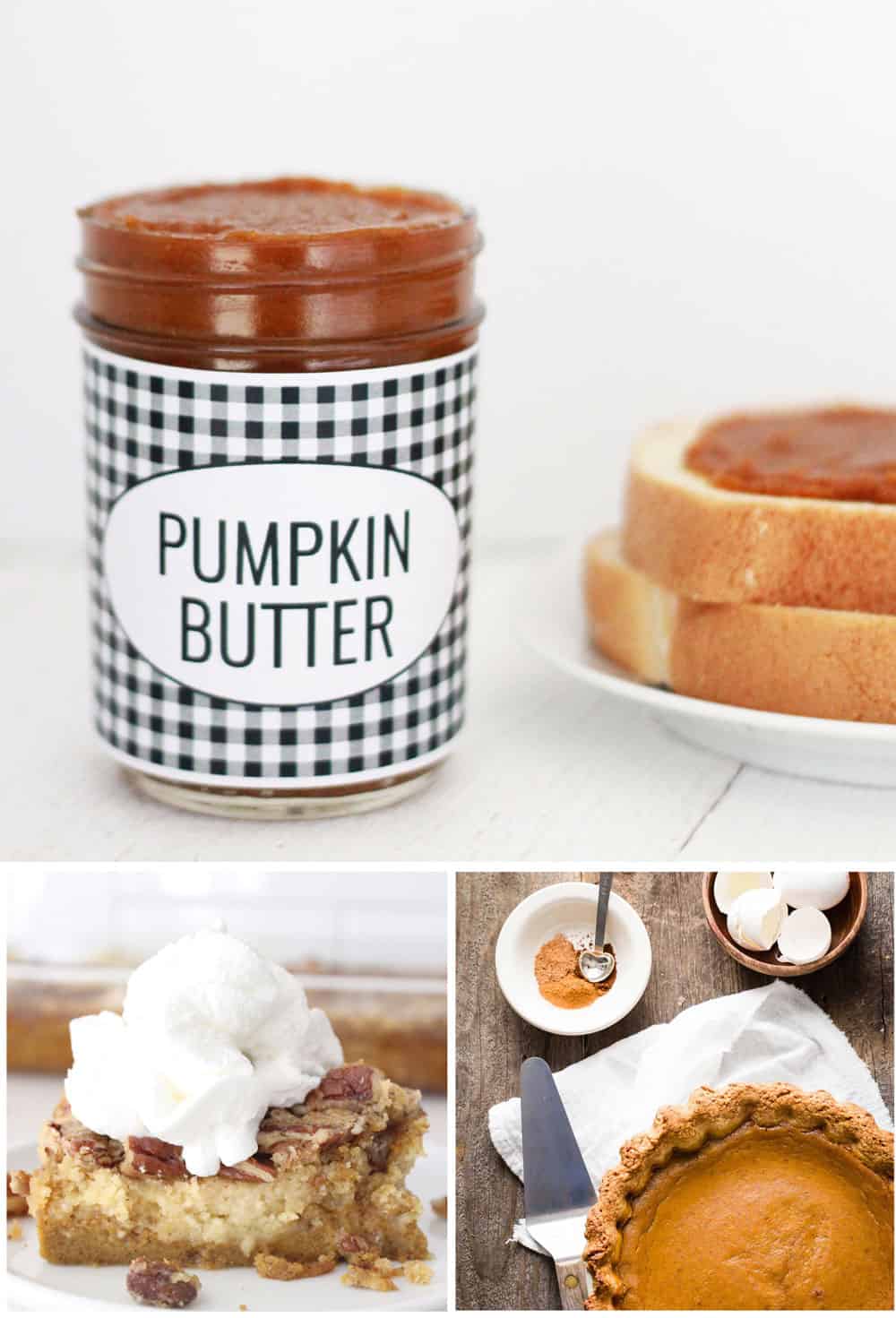 All the best pumpkin recipes! Pumpkin cookies, pumpkin cake, pumpkin pie, and savory pumpkin recipes too! 