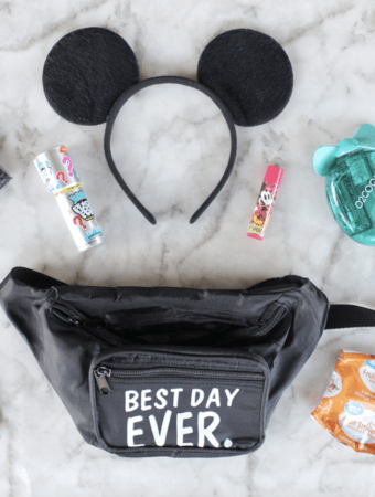 Fanny Pack for Disney World