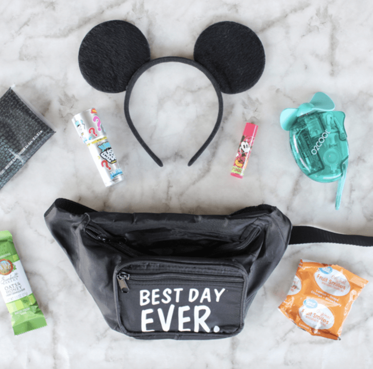 Fanny Pack for Disney World