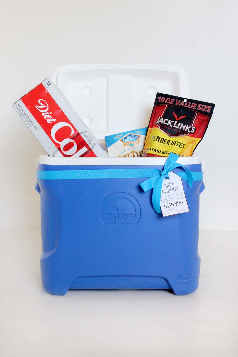 I love this cooler gift idea with the printable tag! So simple, but useful and fun!