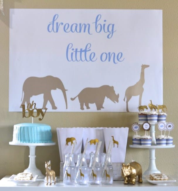 Safari Baby Shower Theme for Boy