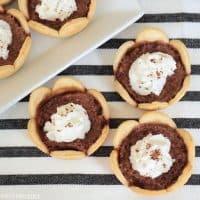 Mini Pies - Chocolate Chess mini pies with scalloped crusts and whipped cream, cocoa powder dusted on top of each.